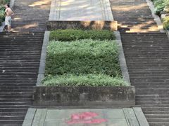 -忠山公园