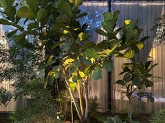 -1718海鲜姿造(苏宁宴请臻选店)