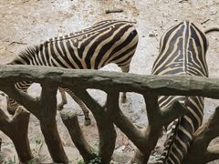 -南昌动物园