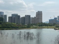 -春润大地海南椰子鸡(沙井京基百纳广场店)