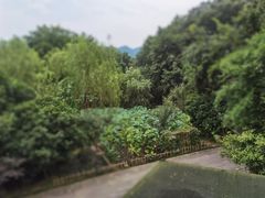 -西院1号(龙井店)