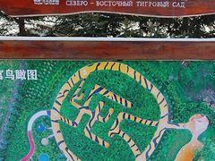 -横道河子东北虎林园
