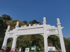 -羚羊峡古栈道森林公园