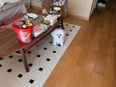 -沐沐家宠物(成寿寺店)