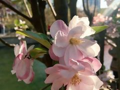 -元大都城垣遗址公园