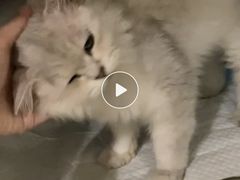 -美迦爱-牙专科·兔科·骨科诊疗中心(北苑店)