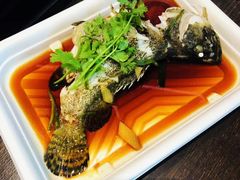 清蒸桂鱼-盒马鲜生(宝地店)
