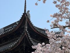 -苏州上方山国家森林公园