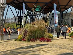 -上海长兴岛郊野公园