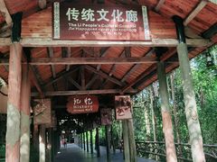 -海南槟榔谷黎苗文化旅游区