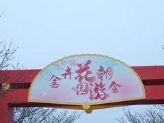 -金卉庄园