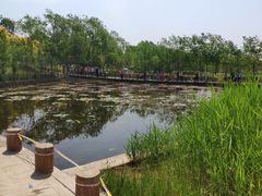 -绿堤公园