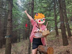 -苏木山森林公园