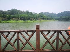 -番禺大夫山森林公园