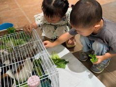 -HERRE·FARM 赫尔露营农场·团建聚会包场