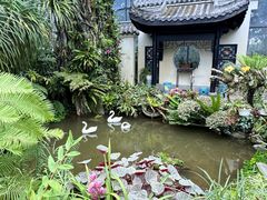 -东莞植物园