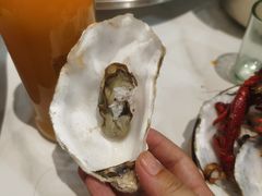 -大孩龙虾(体育场旗舰店)