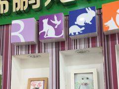 -瑞鹏·疫苗·绝育·宠物医院(金沙洲店)