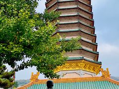 -八大处公园