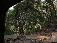 -小南山公园