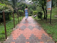 -吉隆坡雀鸟公园