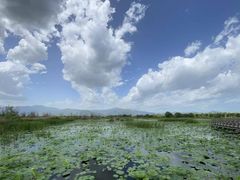 -野鸭湖国家湿地公园