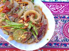 老挝舂猪皮-半坡九号老挝冰咖啡