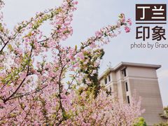 -浙江大学附属中学(丁兰校区)