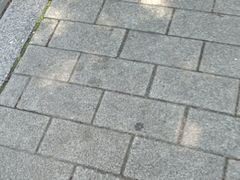 -牛カツ京都勝牛(河原町蛸薬師店)