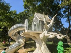 -银湖山郊野公园-相思林