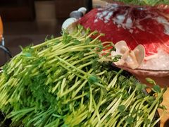 活豆苗-湊湊火锅·茶憩(上海合生汇店)