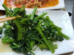 -老桥张羊肉