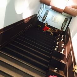 -HMC美容按摩SPA馆