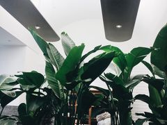 -村外有星光小食铺(解放碑1089店)