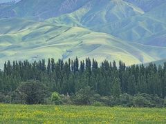 -新疆那拉提国家旅游度假区