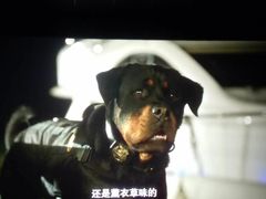 -大地影院(上海南汇店)