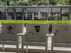 -瑞鹏宠物医院·夜间急症·心超·猫科(祖庙分店)