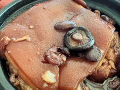 -海堤葡萄园中小学生研学基地