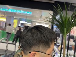 -侨治发型