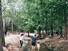 -白水寺森林公园