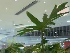 -大树餐厅(红旗街万达店)