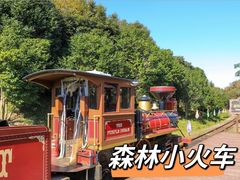 -济州森林小火车生态公园