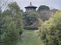 -八大山人梅湖景区