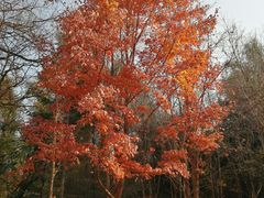 -长春市南湖公园