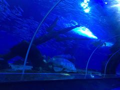 -多彩贵州城极地海洋世界