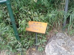 -紫竹院公园冰场