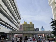 -香港大学