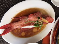毛里求斯小四川饭店-毛里求斯小四川餐厅总店