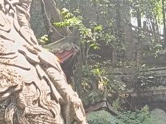 -老君山