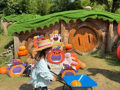 -HERRE·FARM 赫尔露营农场·团建聚会包场